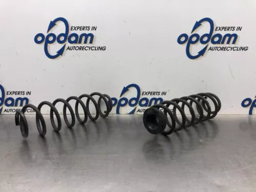 Schroefveer achter-8147331