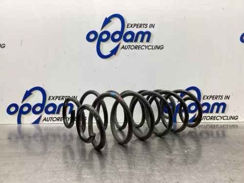 Schroefveer achter-8027860