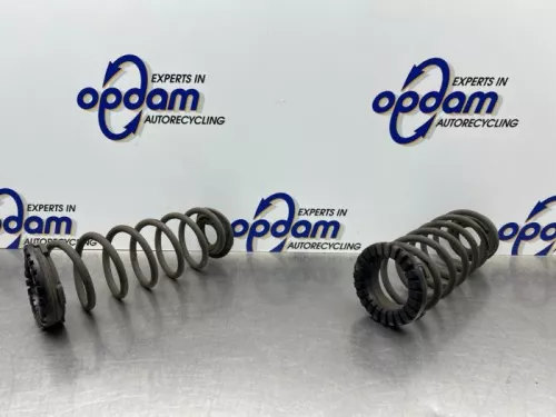 Schroefveer achter-8180437