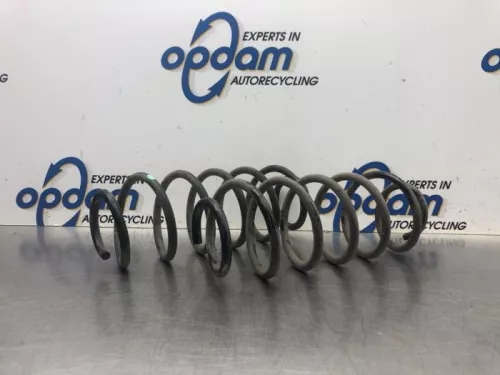 Schroefveer achter-8069735