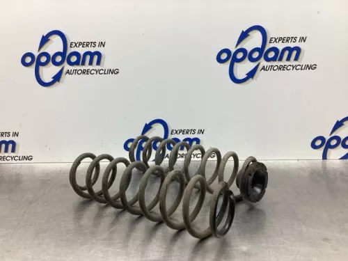 Schroefveer achter-7577029