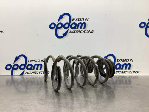 Schroefveer achter-8029827