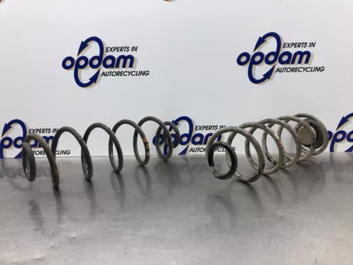 Schroefveer achter-8107578