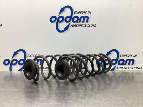 Schroefveer achter-7861720