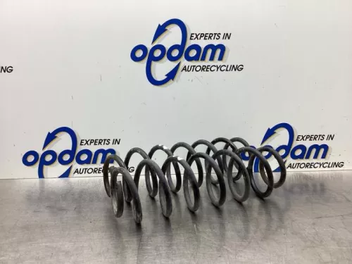 Schroefveer achter-7938209