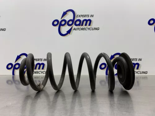 Schroefveer achter-8255120