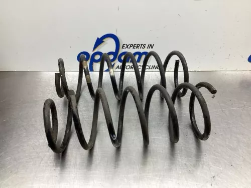 Schroefveer achter-7938947