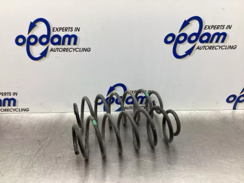 Schroefveer achter-7861552