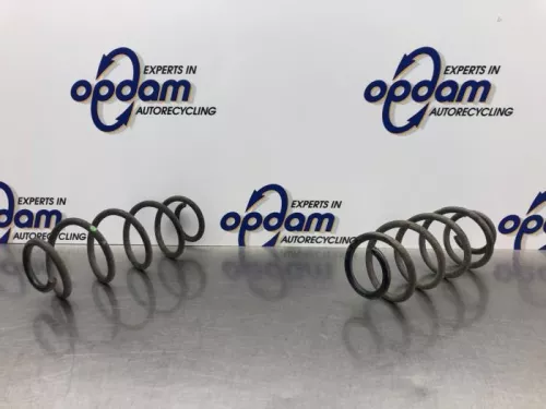 Schroefveer achter-8154432