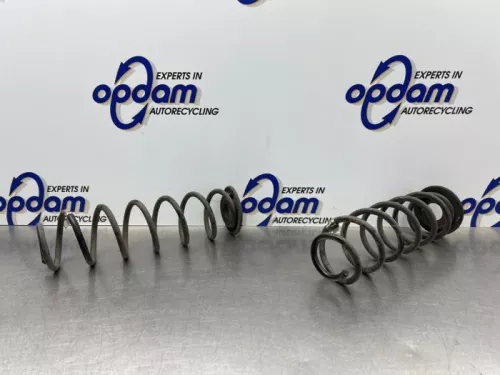 Schroefveer achter-8263978