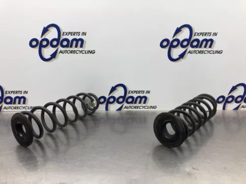 Schroefveer achter-8101100