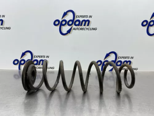 Schroefveer achter-8179334