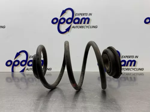 Schroefveer achter-8187393