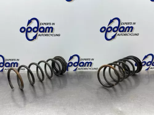 Schroefveer achter-8271193