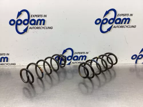 Schroefveer achter-8112194