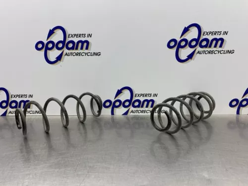 Schroefveer achter-8266510