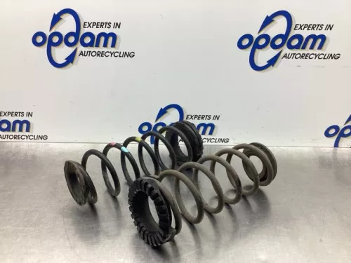 Schroefveer achter-7919010