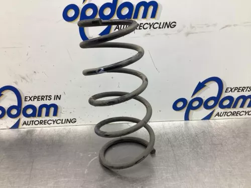 Schroefveer achter-8050063