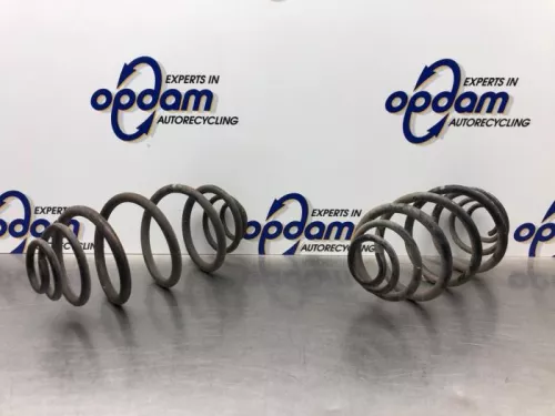 Schroefveer achter-8094053