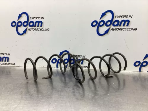 Schroefveer achter-8046543