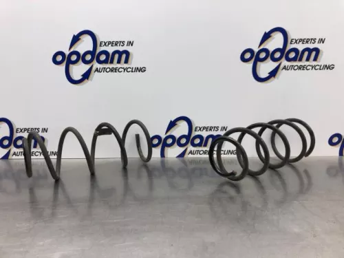 Schroefveer achter-8144201