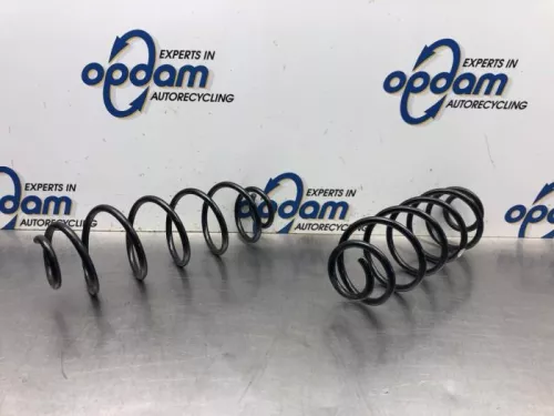 Schroefveer achter-8078381