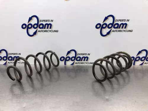 Schroefveer achter-8156832