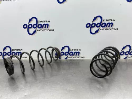 Schroefveer achter-8271688