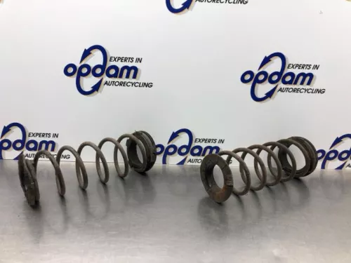 Schroefveer achter-8193050