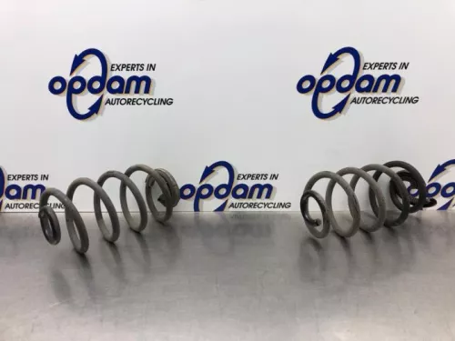 Schroefveer achter-8242075