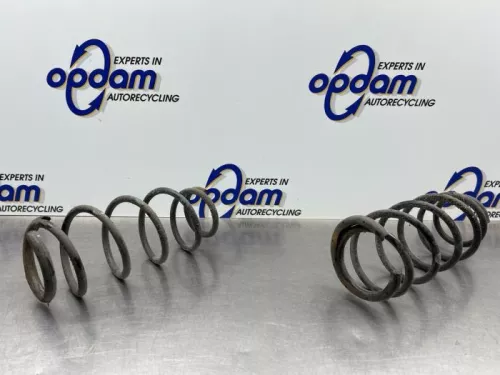 Schroefveer achter-8277485