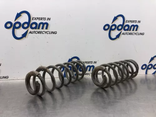 Schroefveer achter-8091445