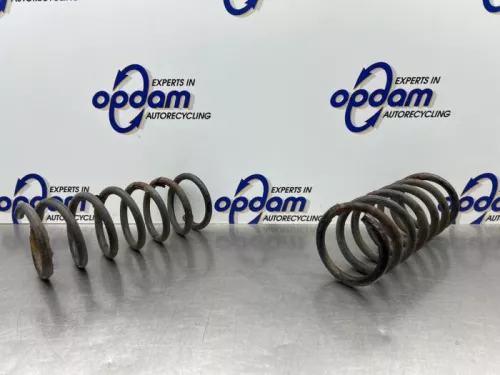 Schroefveer achter-8177599