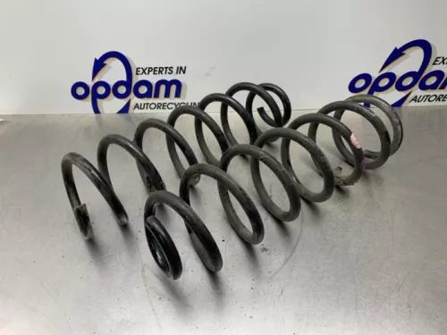 Schroefveer achter-8187679