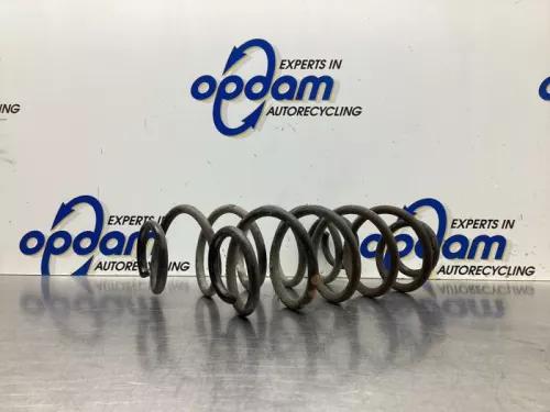 Schroefveer achter-7936900