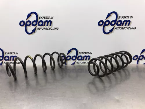 Schroefveer achter-8194089