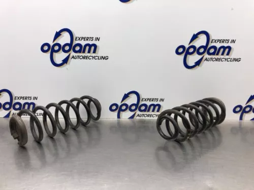 Schroefveer achter-8146887