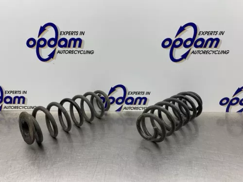 Schroefveer achter-8191592