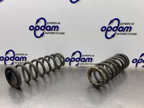 Schroefveer achter-8094088