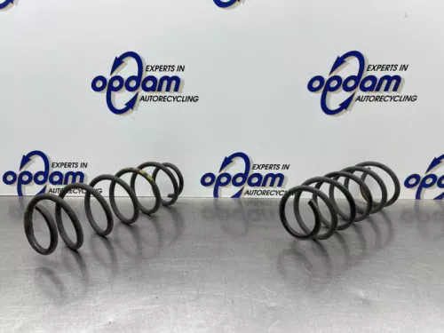 Schroefveer achter-8290902