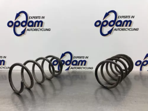 Schroefveer achter-8155957