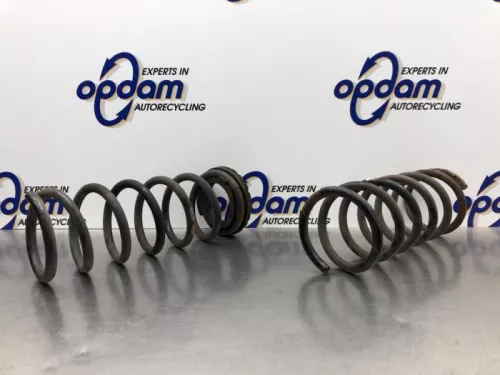 Schroefveer achter-8083741