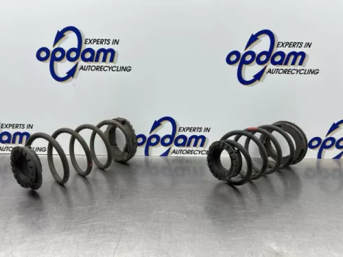 Schroefveer achter-8167482