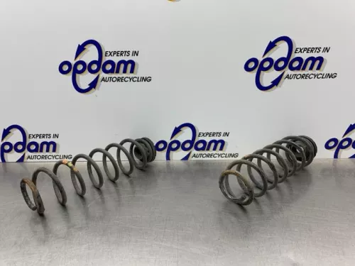 Schroefveer achter-8274417