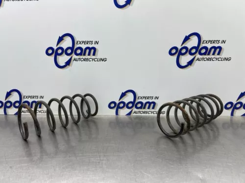 Schroefveer achter-8203369