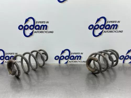 Schroefveer achter-8194371