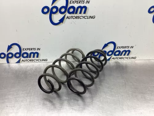 Schroefveer achter-8092712