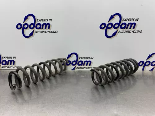 Schroefveer achter-8116588