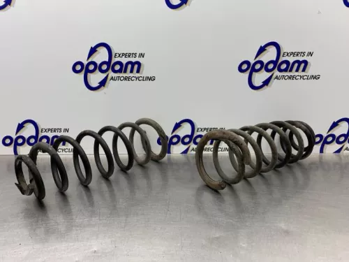 Schroefveer achter-8266228