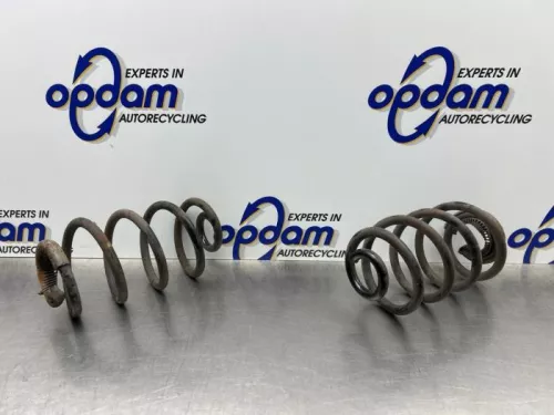 Schroefveer achter-8233812